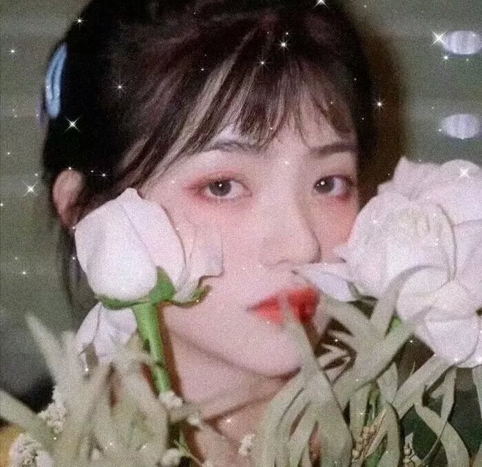 美人鱼第一季